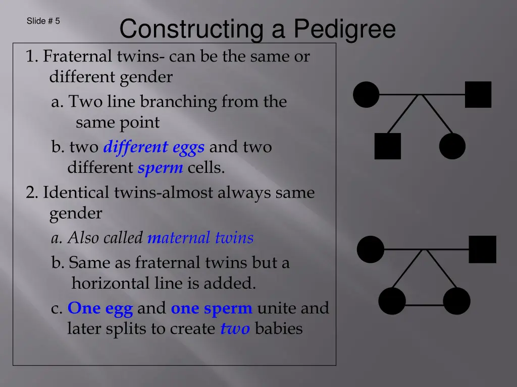 constructing a pedigree