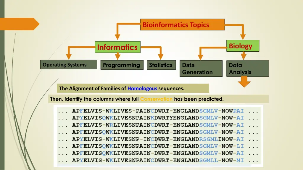 bioinformatics topics 13