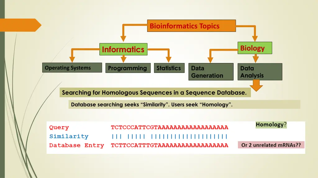 bioinformatics topics 20