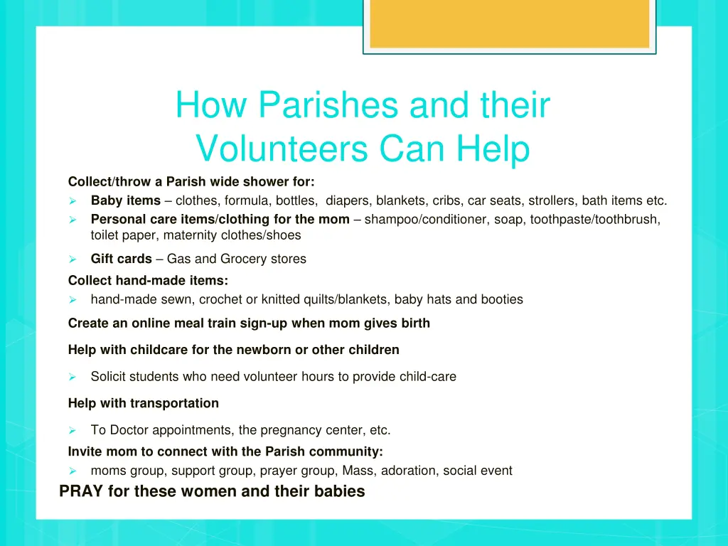 how parishes and their volunteers can help