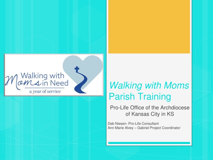 walking with moms parish training pro life office