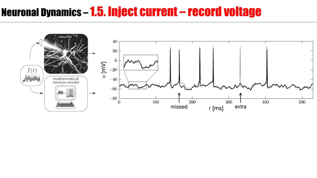 neuronal dynamics 1 5 inject current record