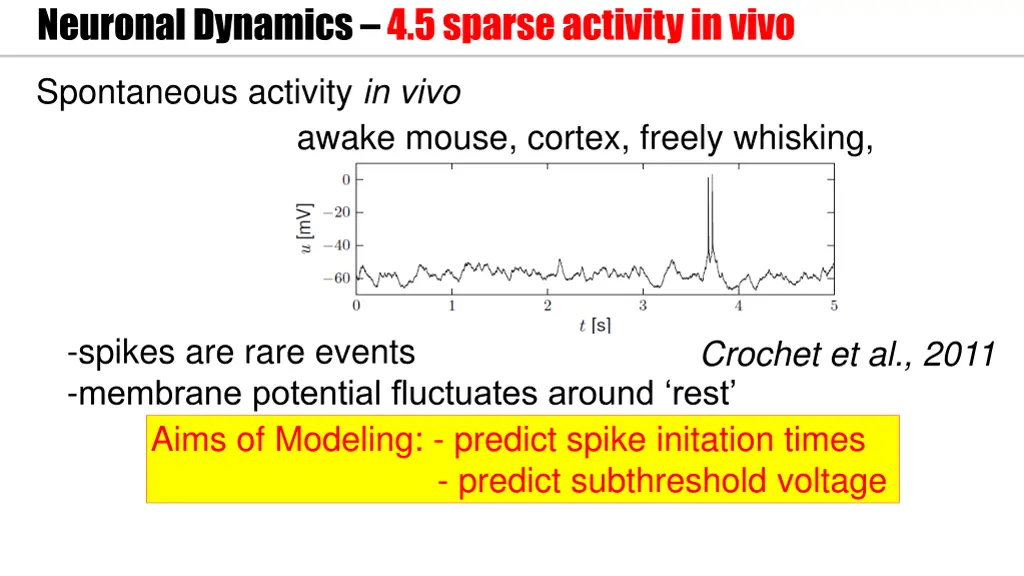 neuronal dynamics 4 5 sparseactivity in vivo 1