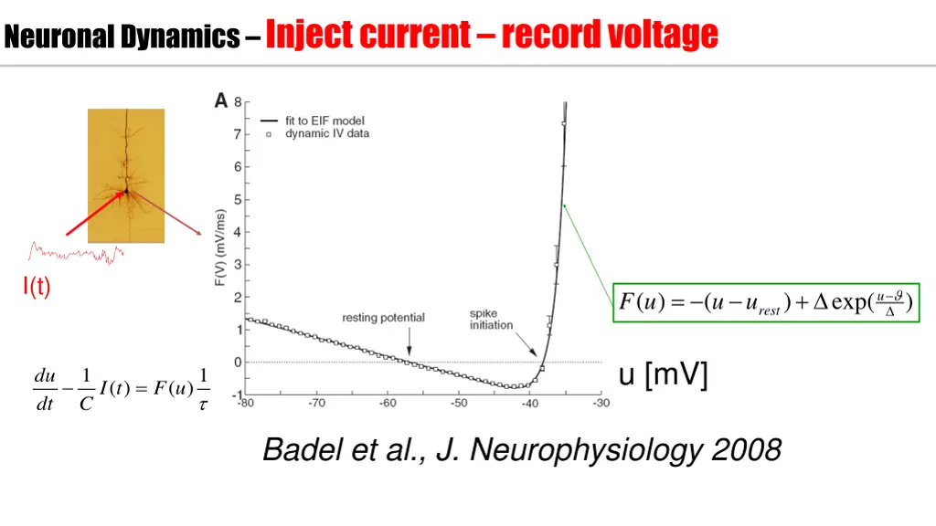 neuronal dynamics inject current record voltage