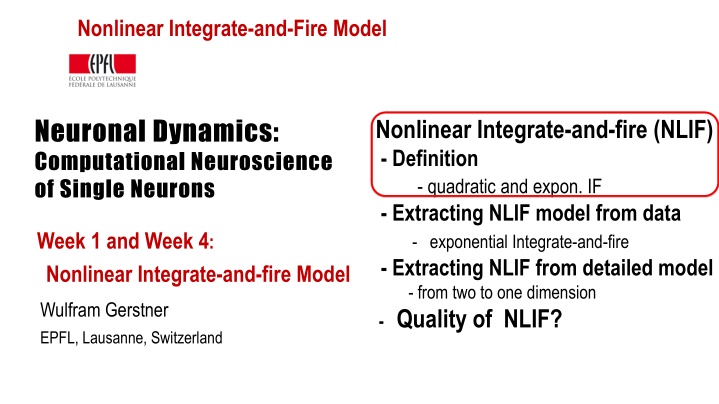 nonlinear integrate and fire model