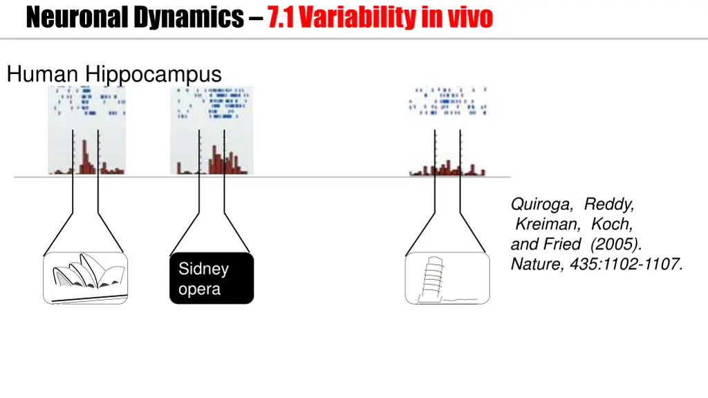 neuronal dynamics 7 1variability in vivo 2