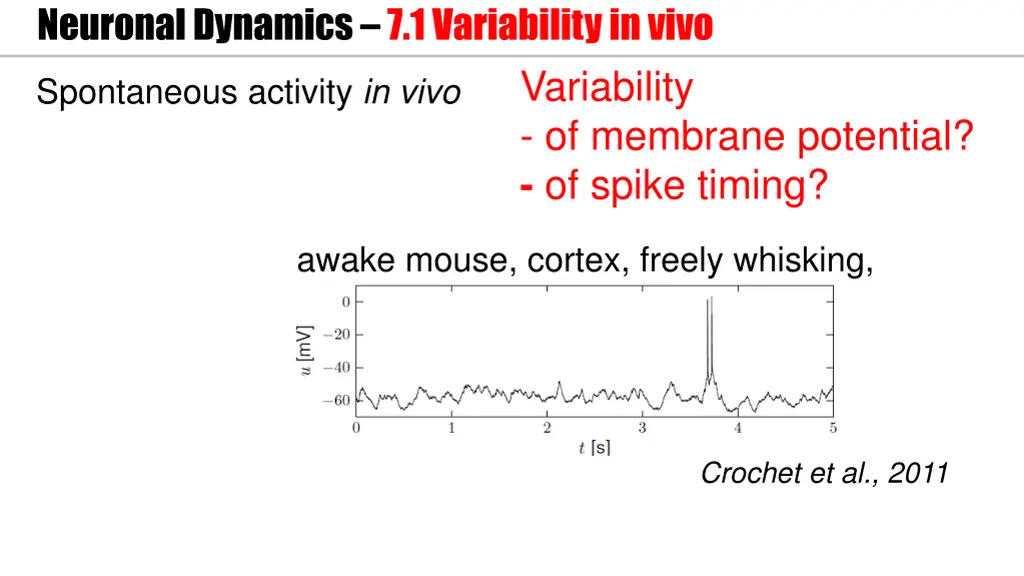 neuronal dynamics 7 1variability in vivo