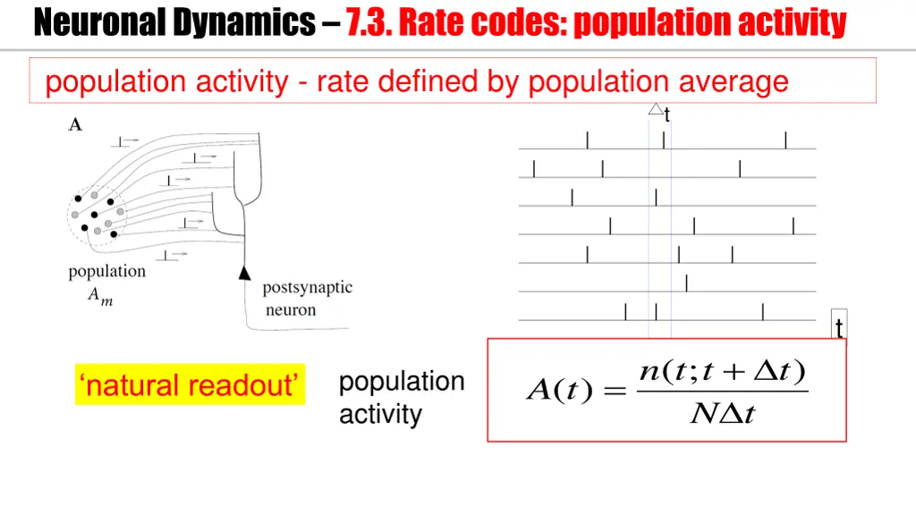 neuronal dynamics 7 3 rate codes population 1