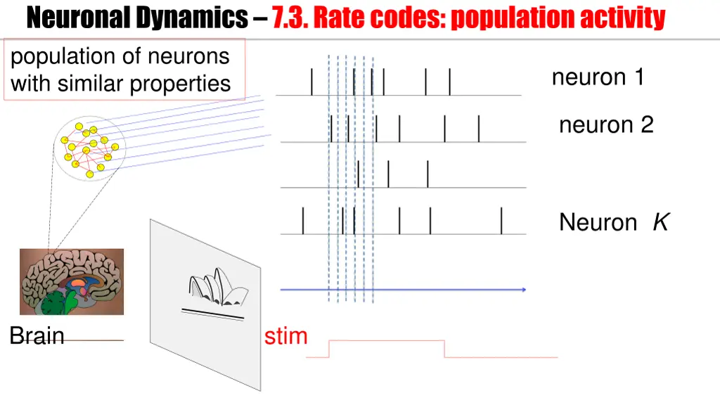 neuronal dynamics 7 3 rate codes population