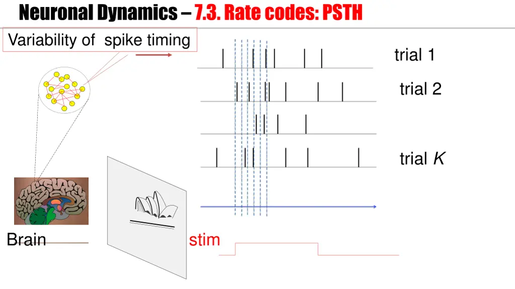 neuronal dynamics 7 3 rate codes psth