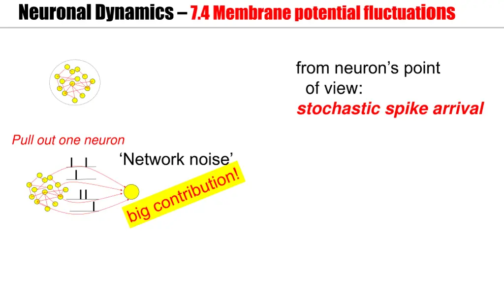 neuronal dynamics 7 4membrane potential fluctuat