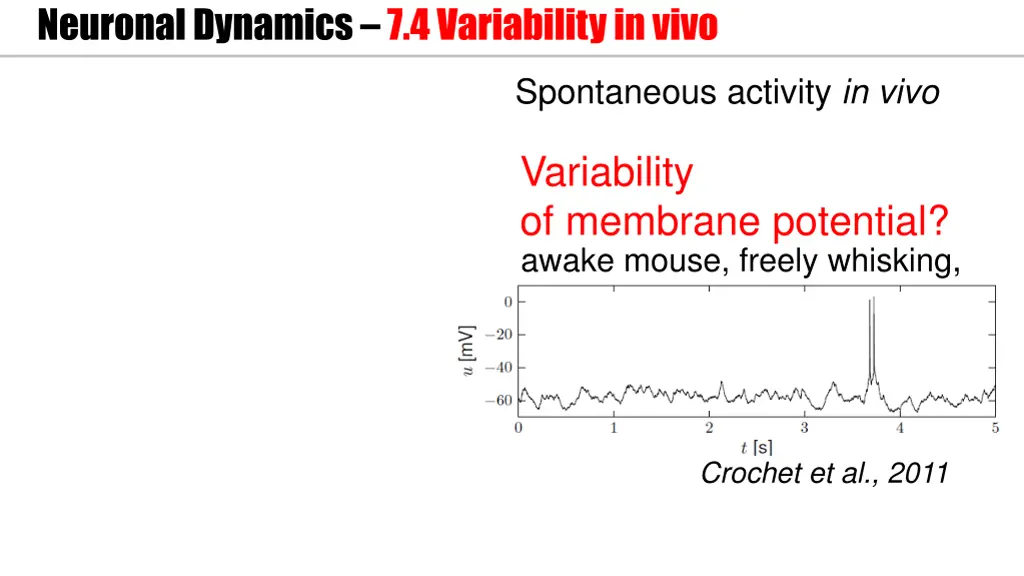 neuronal dynamics 7 4variability in vivo