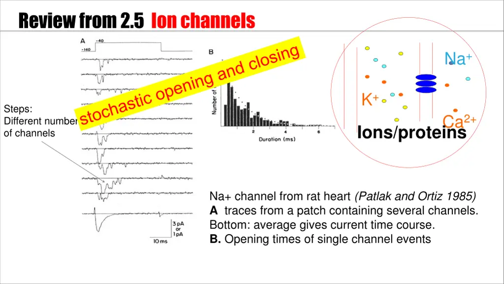 review from 2 5 ion channels