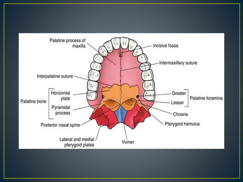 slide5