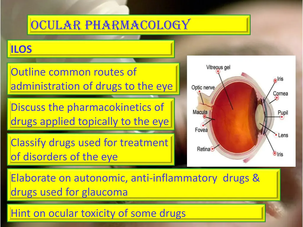 ocular pharmacology 1