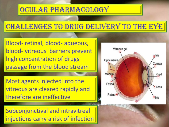 ocular pharmacology