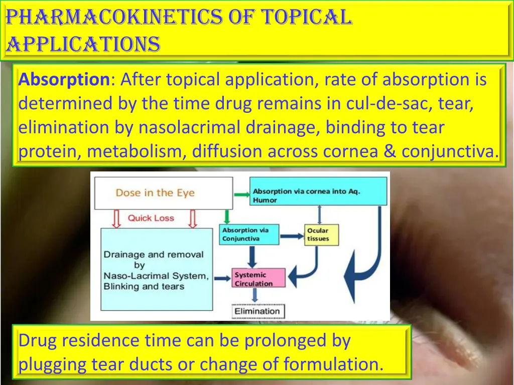 pharmacokinetics of topical applications