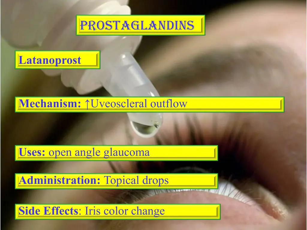 prostaglandins