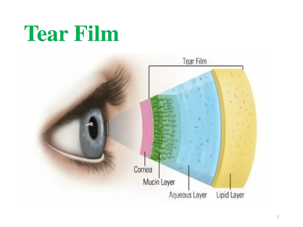 tear film