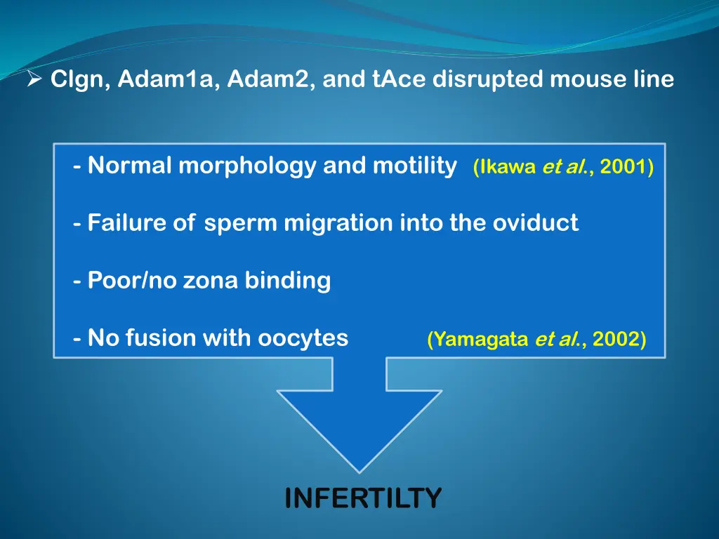 clgn adam1a adam2 and tace disrupted mouse line