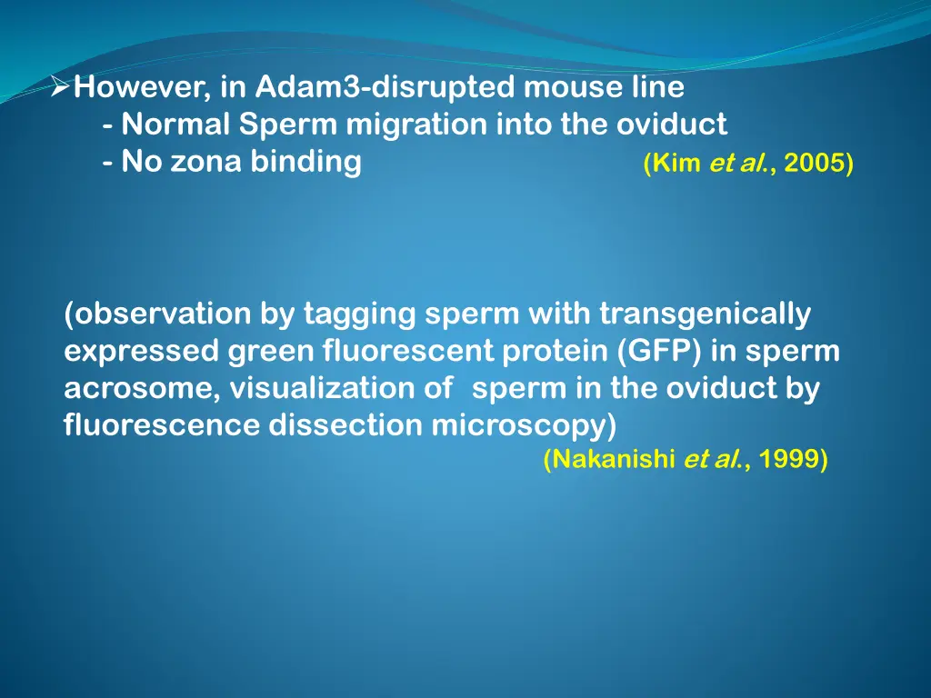 however in adam3 disrupted mouse line normal