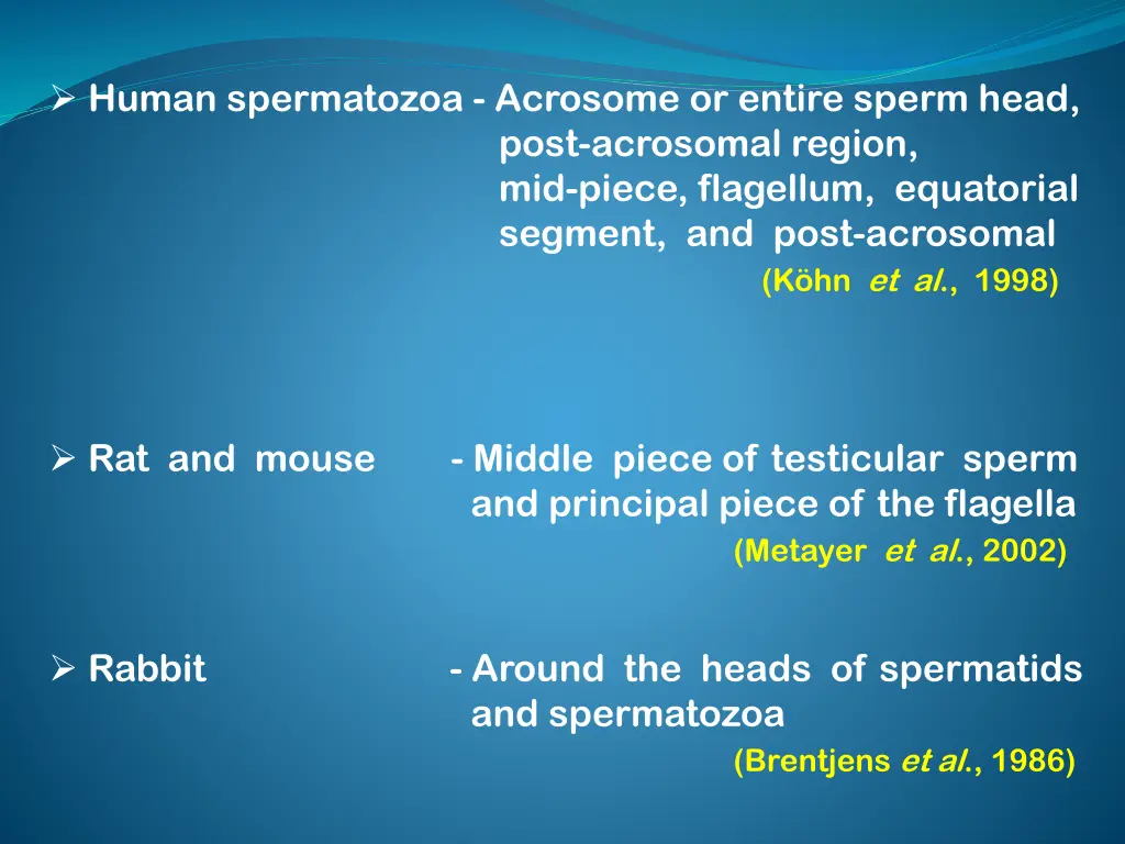 human spermatozoa acrosome or entire sperm head