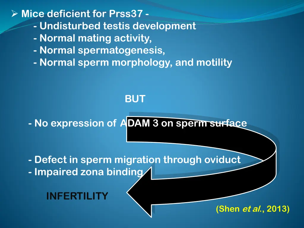 mice deficient for prss37 undisturbed testis