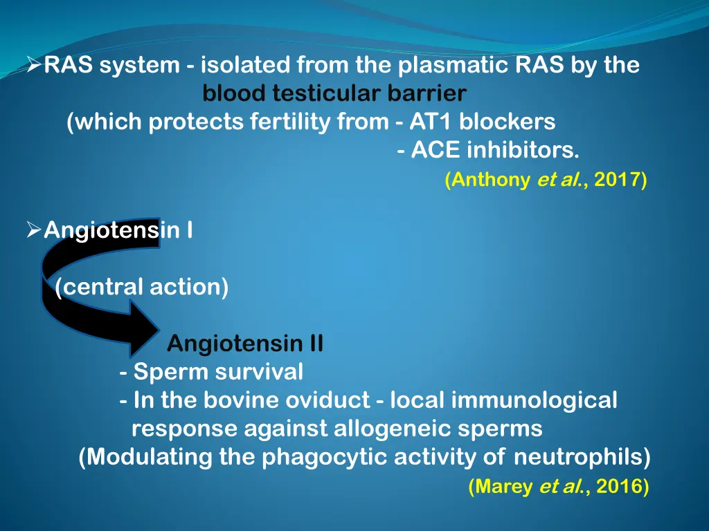 ras system isolated from the plasmatic