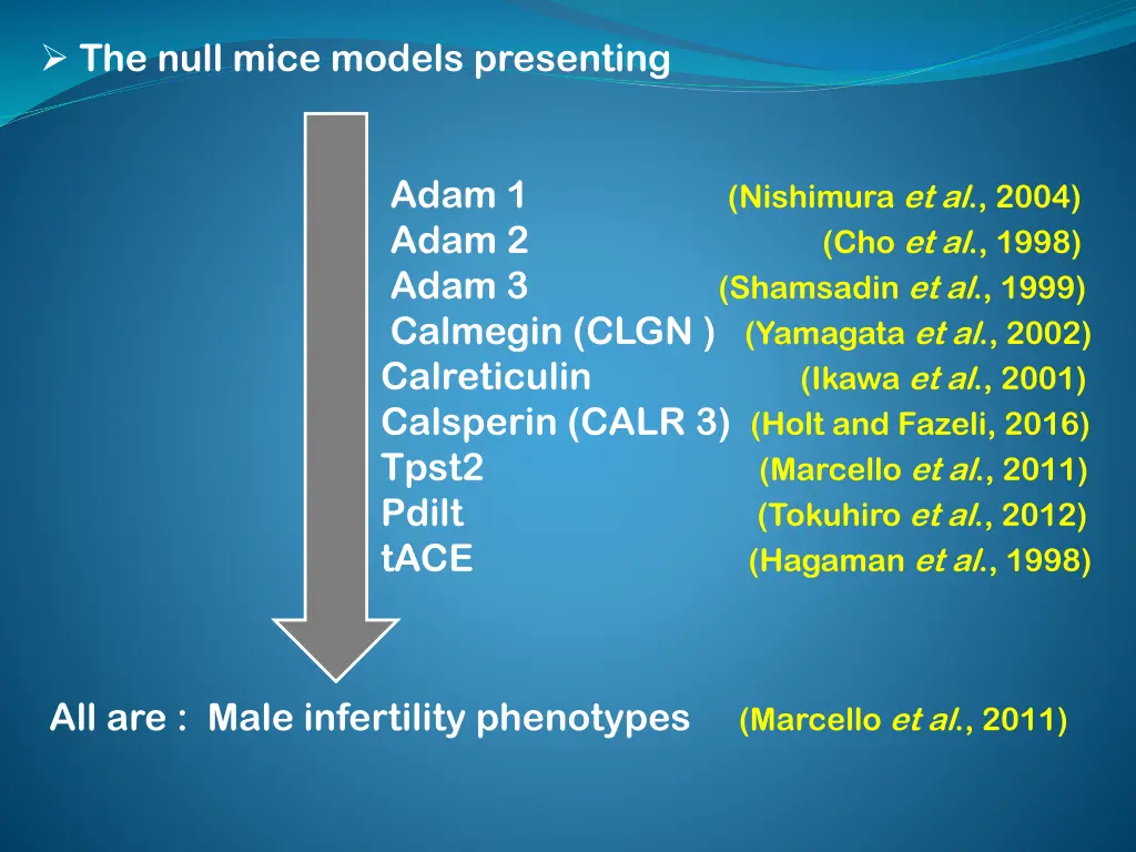 the null mice models presenting