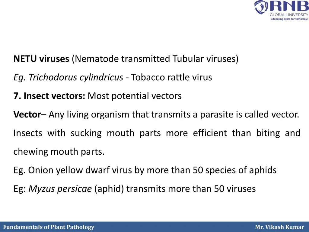 netu viruses nematode transmitted tubular viruses