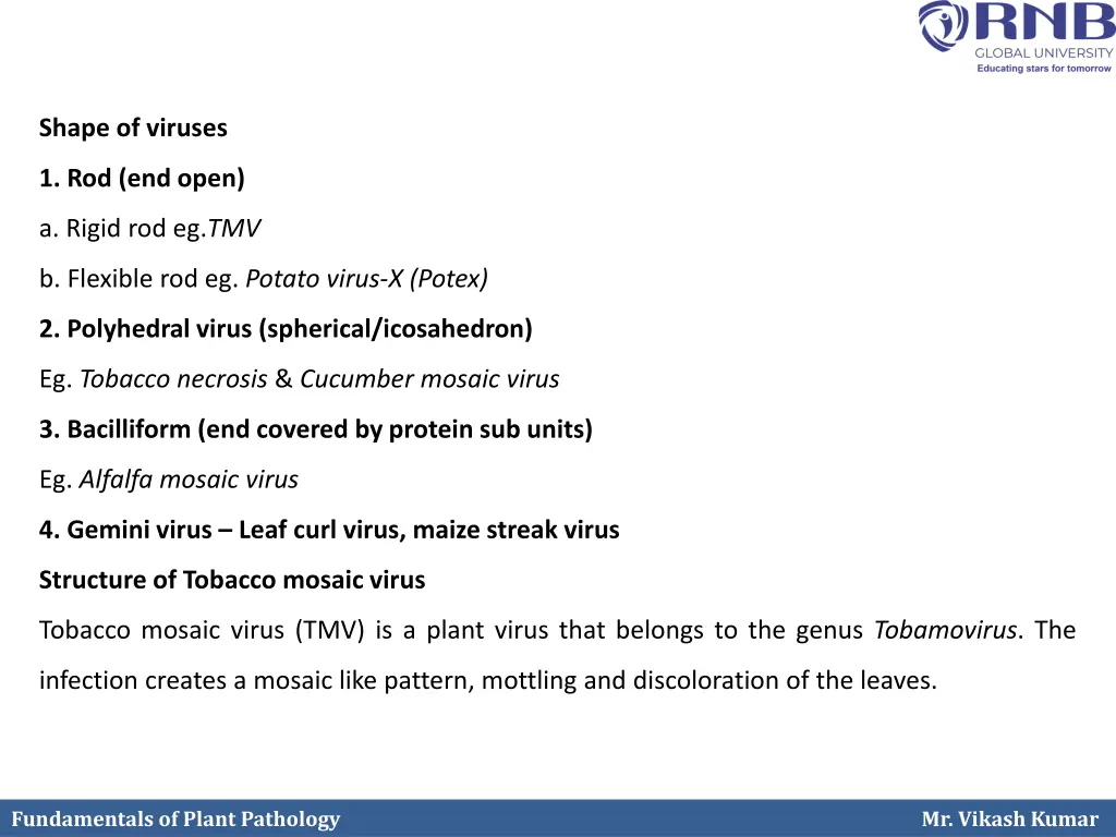 shape of viruses