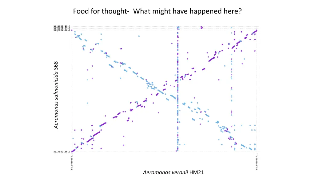 food for thought what might have happened here