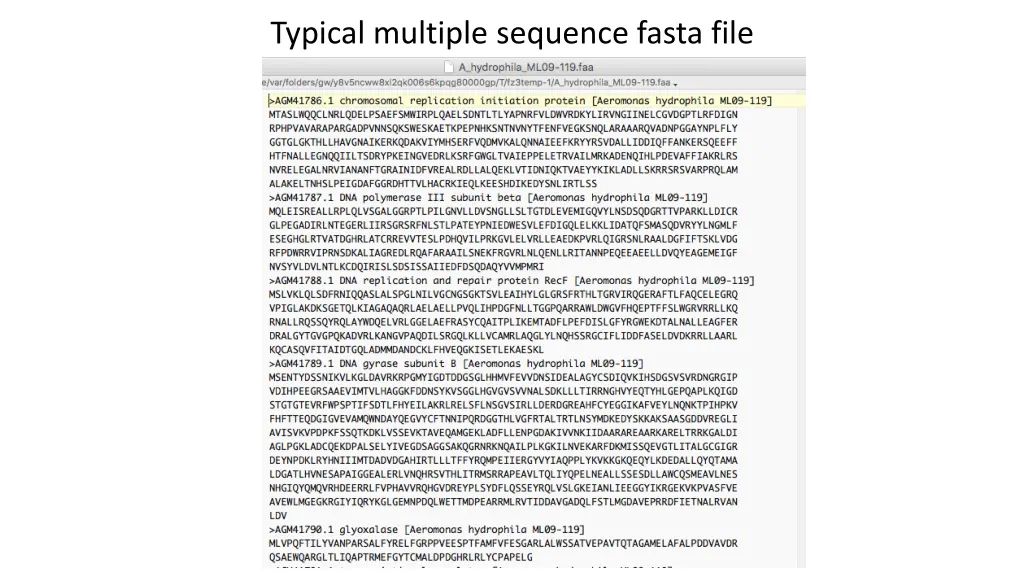 typical multiple sequence fasta file