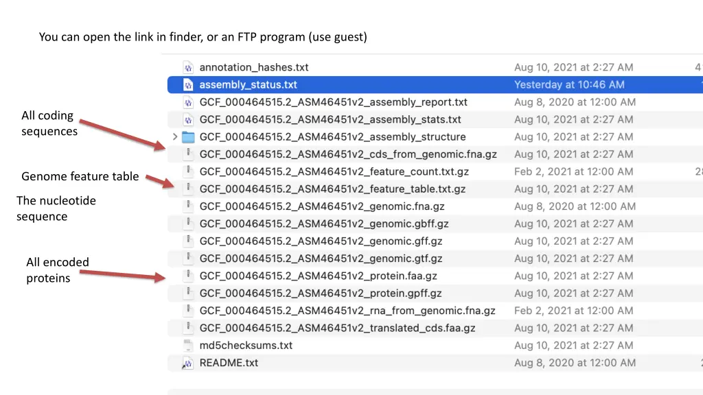 you can open the link in finder or an ftp program