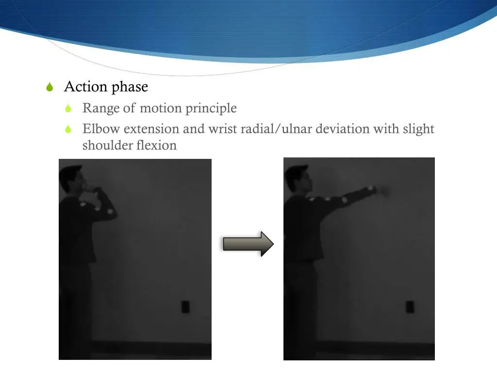 action phase range of motion principle elbow