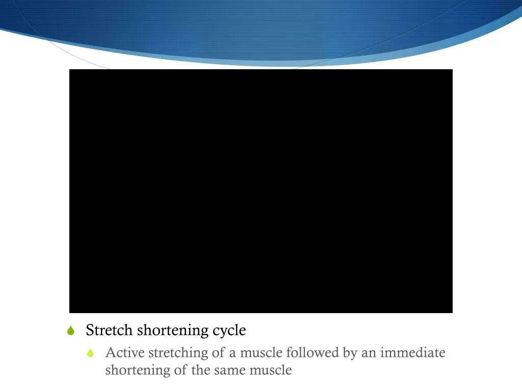 stretch shortening cycle active stretching