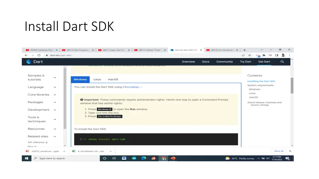 install dart sdk