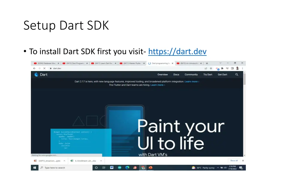 setup dart sdk