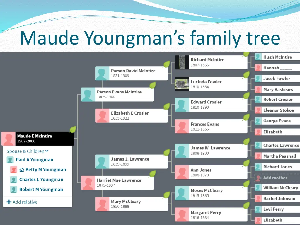 maude youngman s family tree