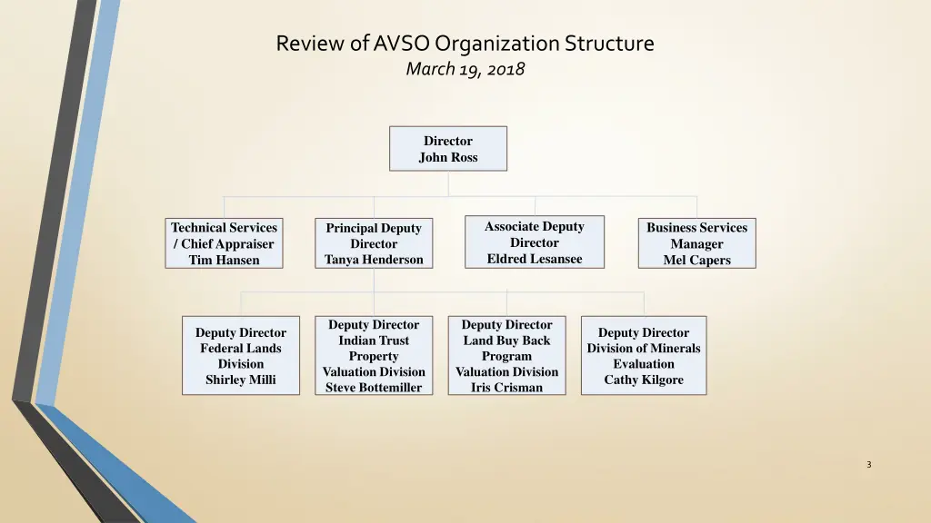 review of avso organization structure march