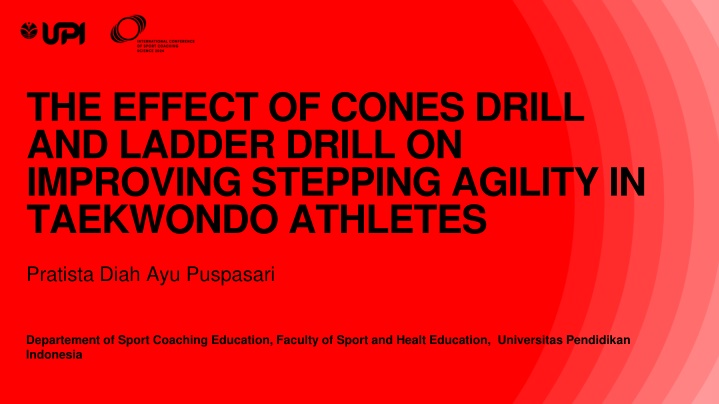 the effect of cones drill and ladder drill