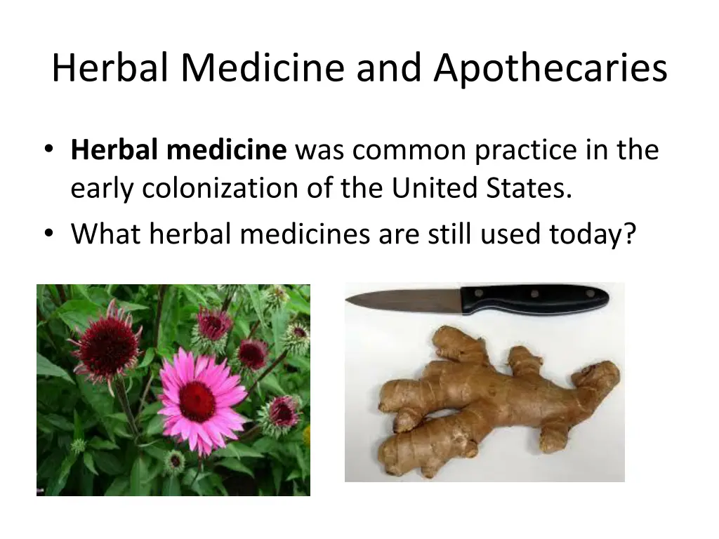 herbal medicine and apothecaries 1