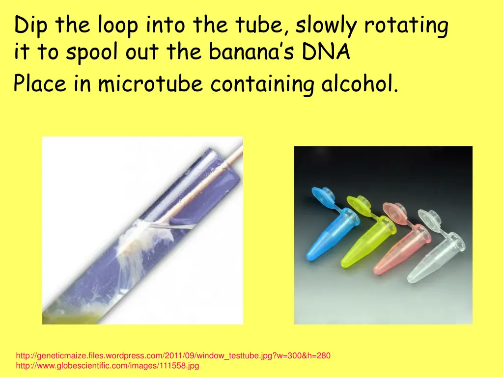 dip the loop into the tube slowly rotating