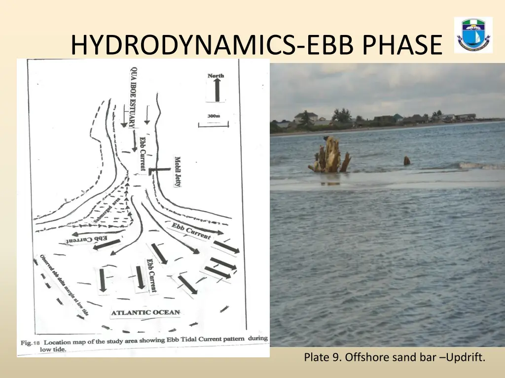 hydrodynamics ebb phase