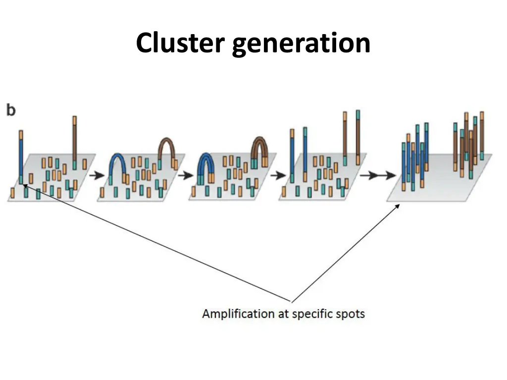 cluster generation 1