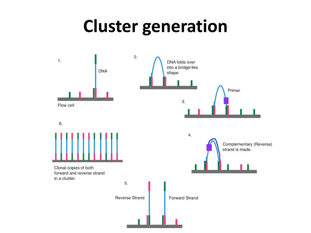 cluster generation