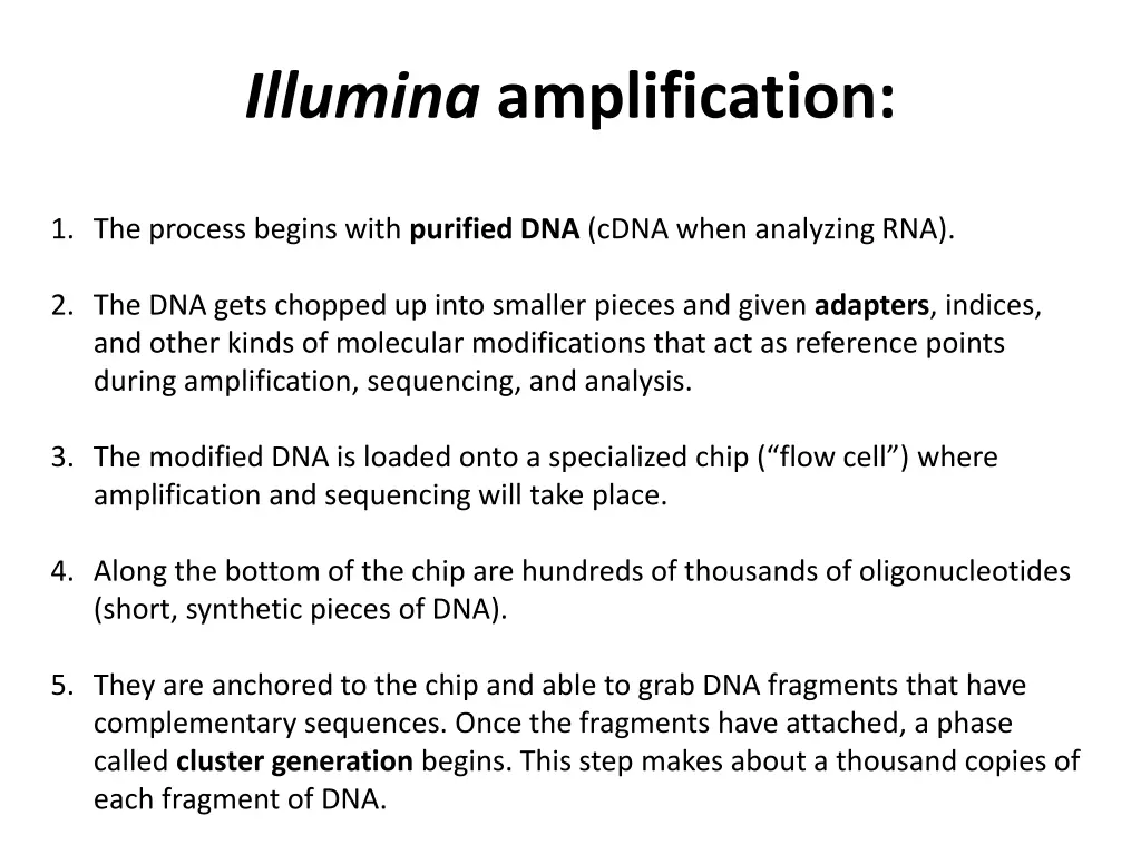 illumina amplification