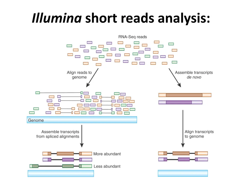 illumina short reads analysis