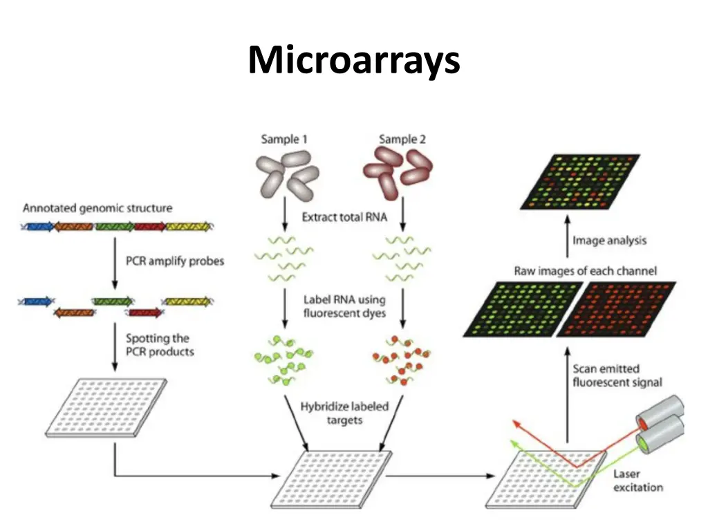 microarrays