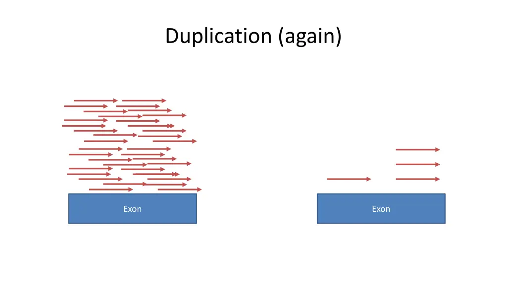 duplication again